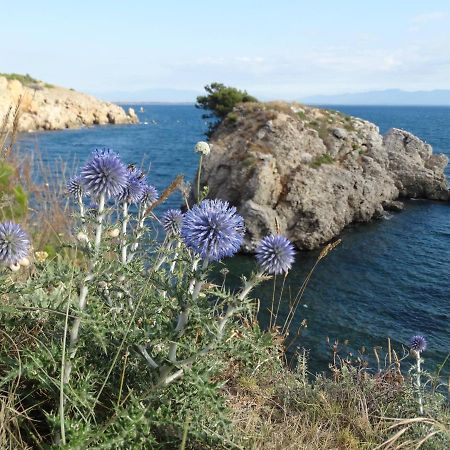 Apartamento Punta Montgo Port De Rei L' Escala Екстериор снимка